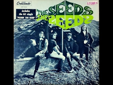 THE SEEDS -The Seeds